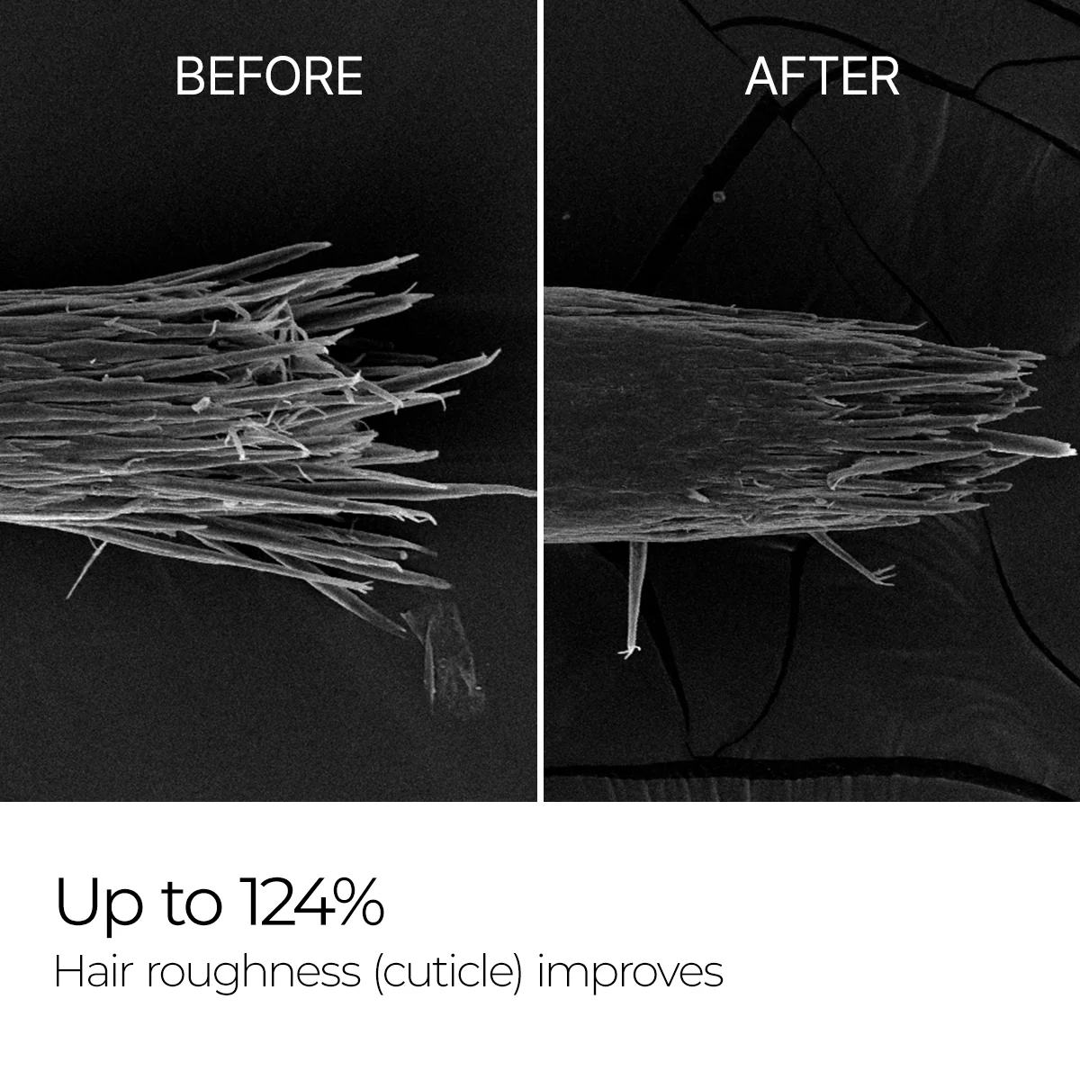 [2+1 Lucky Deals] Bondex Protein Bonding Remodeling Clinic Line - Image 5